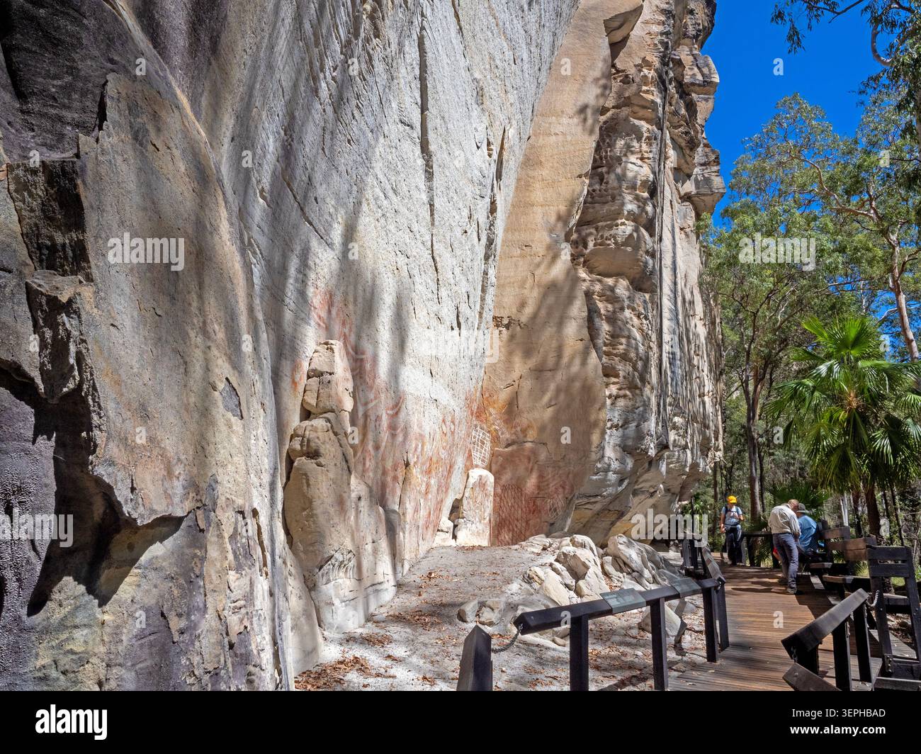 La galerie d'art de Carnarvon gorge, parc national de Carnarvon Banque D'Images