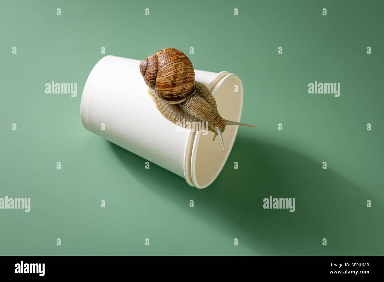 Escargot sur un gobelet jetable mis au rebut. Impact humain sur la nature concept. Banque D'Images
