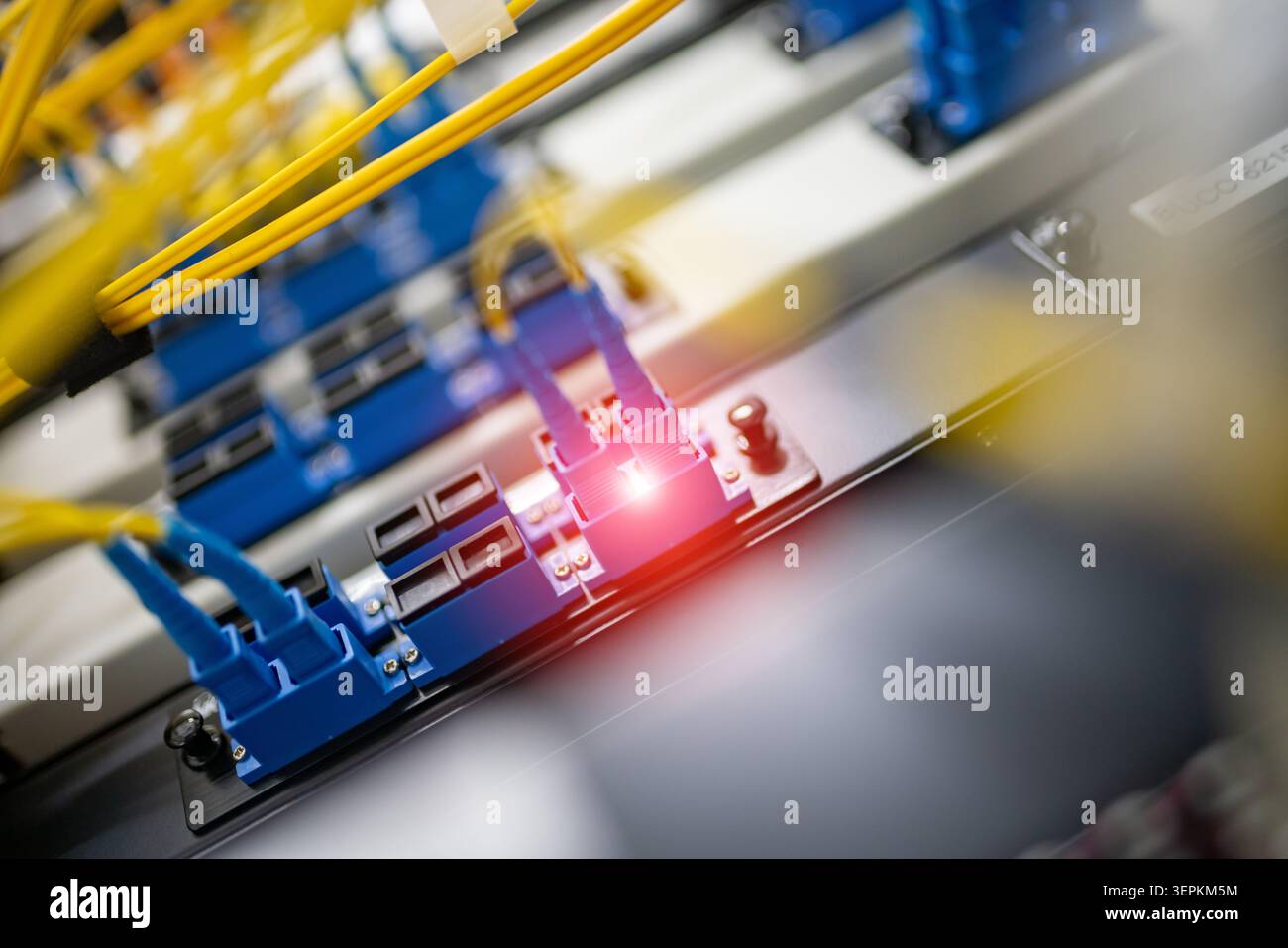 Panneau de raccordement à fibres optiques avec câbles optiques connectés dans un centre de données de rack de serveur Banque D'Images