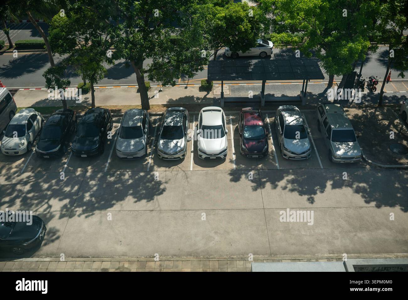 Une photographie aérienne montrant un parking bordé d'arbres fournissant de l'ombre, rempli de divers véhicules, mettant en évidence le transport urbain et l'outdo Banque D'Images