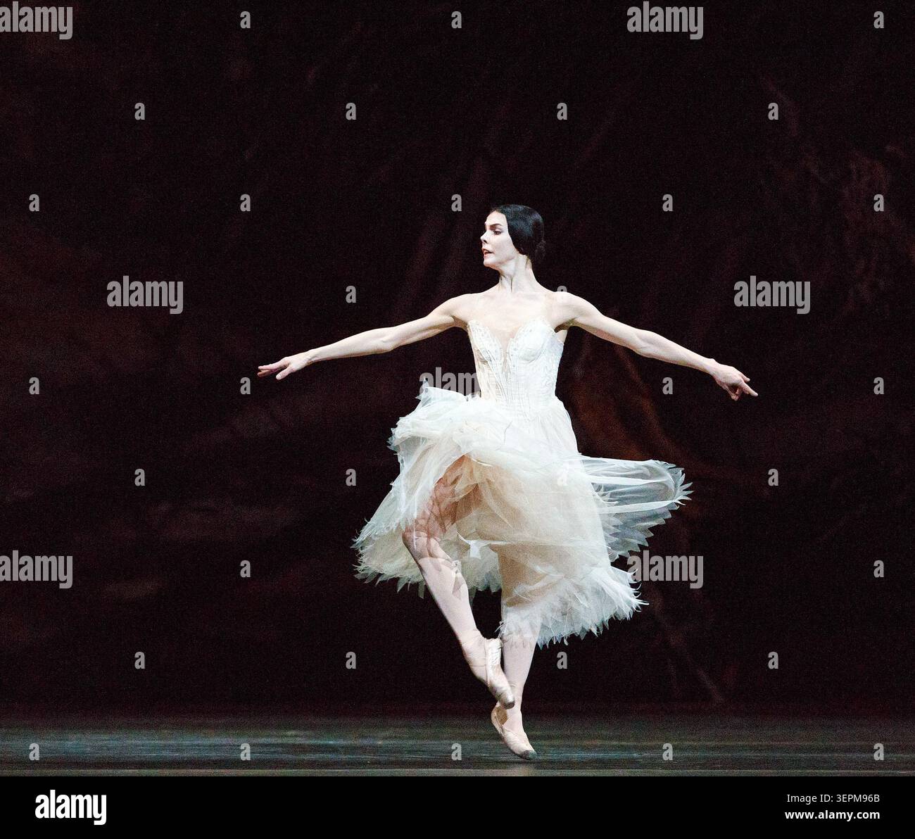 Natalia Osipova (Giselle) dans GISELLE au Royal Ballet, au Royal Opera House, Covent Garden, Londres WC2 18/01/2014 chorégraphie : Marius Petipa d'après Coralli & Perrot design : John F MacFarlane éclairage : Jennifer Tipton réalisateur original : Peter Wright Banque D'Images