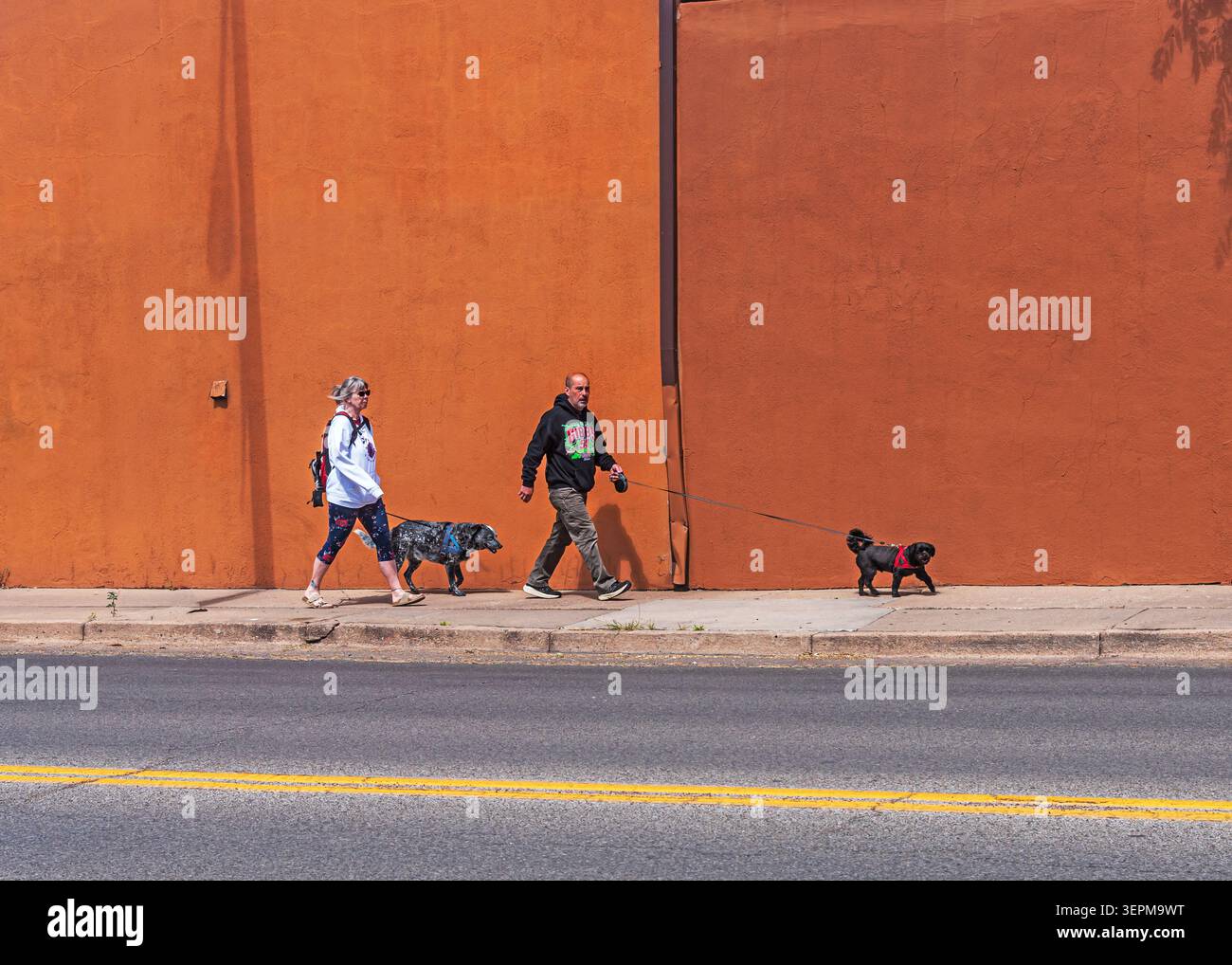 Une femme et un homme promenant leurs chiens contre un mur rouge.Santa Fe ; Nouveau Mexique ; USA; Banque D'Images