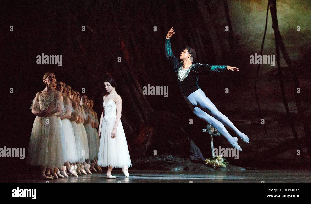 Natalia Osipova (Giselle), Carlos Acosta (Comte Albrecht) dans GISELLE au Royal Ballet, The Royal Opera House, Covent Garden, Londres WC2 18/01/2014 chorégraphie : Marius Petipa d'après Coralli & Perrot design : John F MacFarlane éclairage : Jennifer Tipton réalisateur original : Peter Wright Banque D'Images