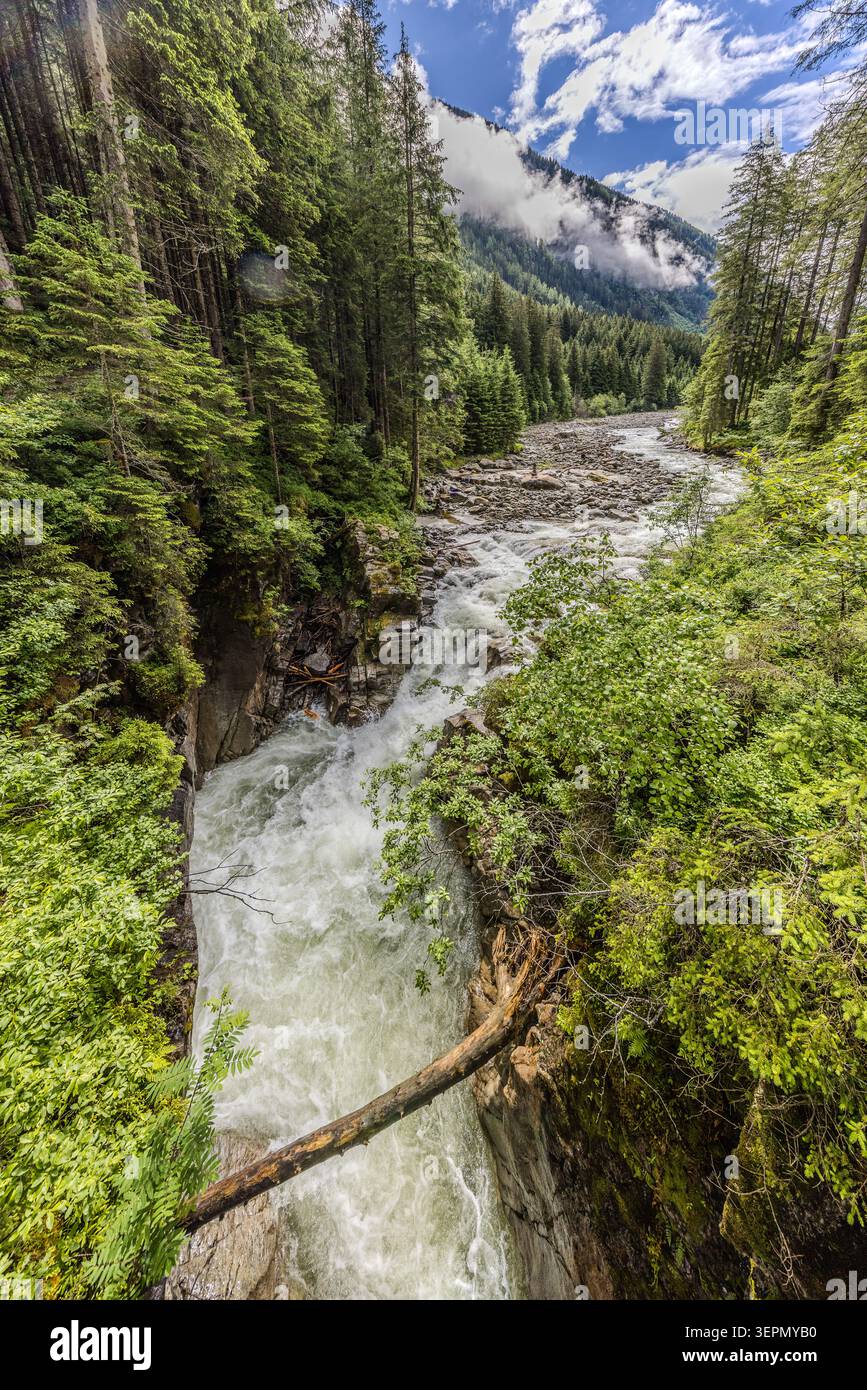 L’Untersulzbach cascade sur des rochers à travers une gorge boisée le long de la promenade circulaire des cascades dans l’Untersulzbachtal ; un tronc d’arbre abattu gît en travers du lit de la rivière. Sulzau, Rosental, Neukirchen am Großvenediger, Bezirk Zell am See, Salzbourg, 5741, Autriche Banque D'Images