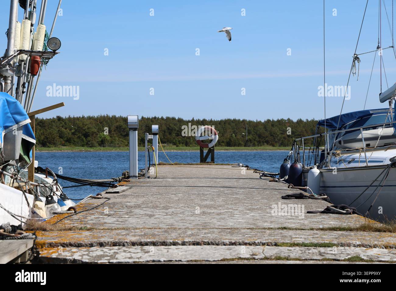 Petits bateaux de pêche amarrés dans Lauters Harbor, mettant en valeur la vie maritime traditionnelle sur la côte suédoise. Banque D'Images