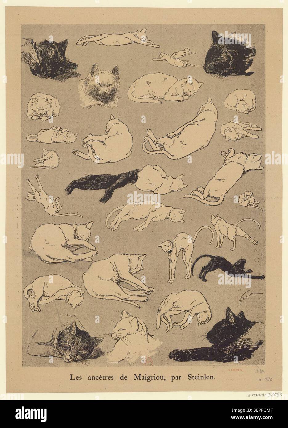 Une illustration photomécanique de Théophile Alexandre Steinlen, réalisée en 1884, présente des chats anthropomorphes dans un contexte de presse parisienne lié au Chat Noir, reflétant des images animales satiriques de fin de siècle et une culture de revue illustrée associée à l’édition cabaret. Banque D'Images