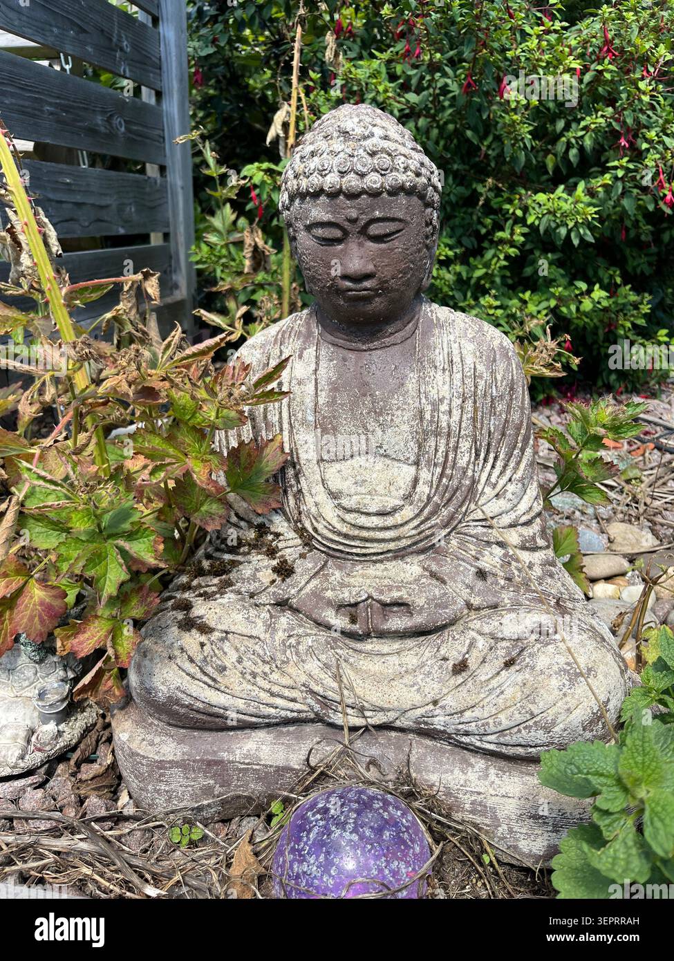 Une statue de Bouddha en pierre altérée entourée de feuillage de jardin, de fleurs et d'ornements décoratifs, créant une scène extérieure paisible et sereine. - Image de stock capturée avec un smartphone