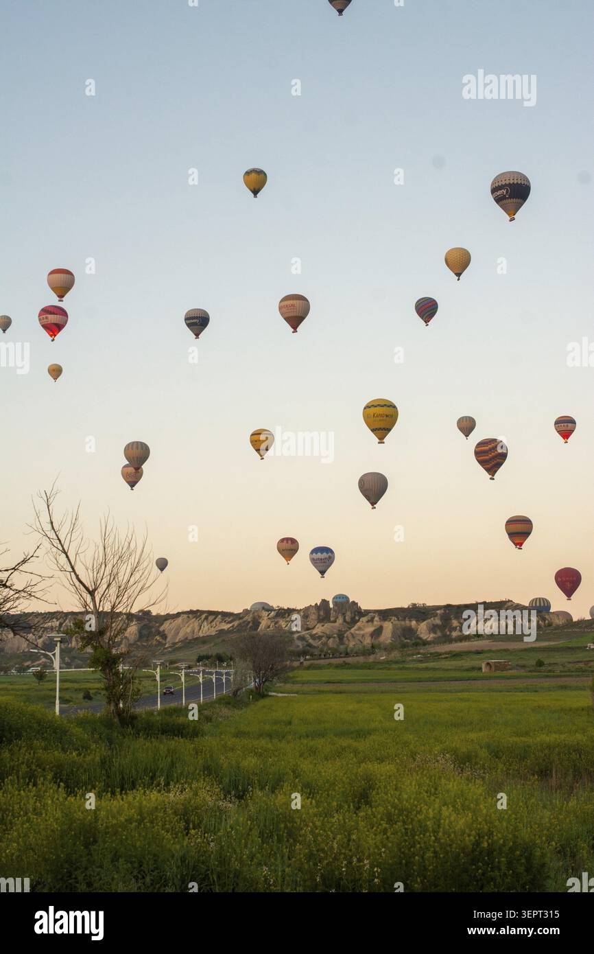 Vue matinale pittoresque de montgolfières colorées survolant le paysage unique de la Cappadoce, en Turquie Banque D'Images