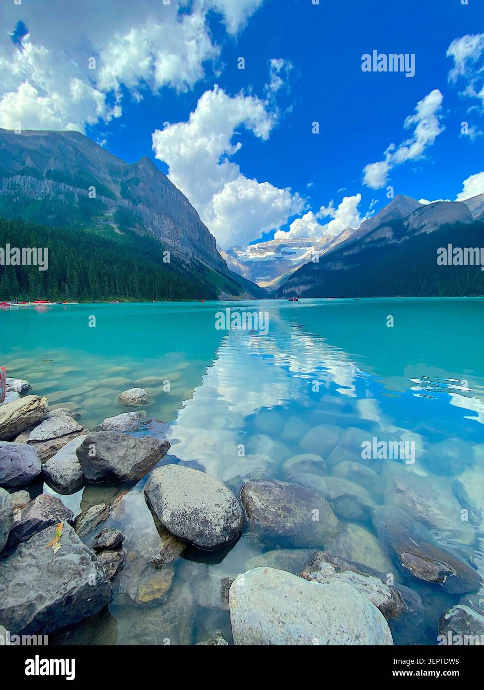 Canada, rivière de montagne, montagnes, forêt, fleurs sauvages, nature, nature sauvage, paysage, vue panoramique, rivière, eau courante, paysage alpin, montagne - Image de stock capturée avec un smartphone