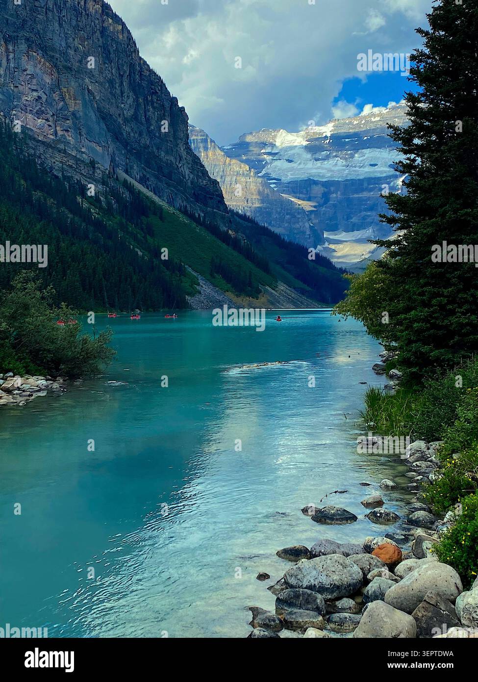 Canada, rivière de montagne, montagnes, forêt, fleurs sauvages, nature, nature sauvage, paysage, vue panoramique, rivière, eau courante, paysage alpin, montagne - Image de stock capturée avec un smartphone
