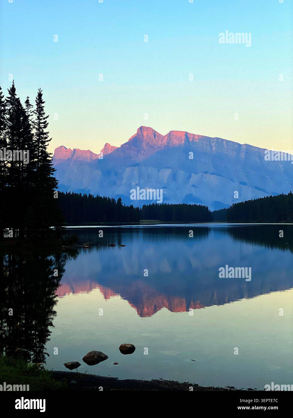 Canada, rivière de montagne, montagnes, forêt, fleurs sauvages, nature, nature sauvage, paysage, vue panoramique, rivière, eau courante, paysage alpin, montagne - Image de stock capturée avec un smartphone