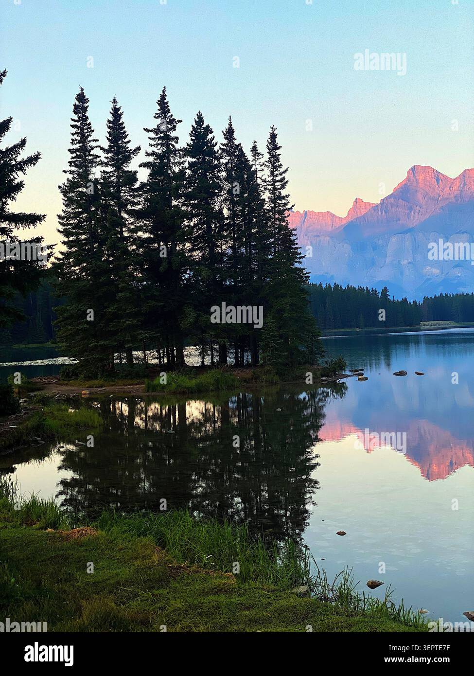 Canada, rivière de montagne, montagnes, forêt, fleurs sauvages, nature, nature sauvage, paysage, vue panoramique, rivière, eau courante, paysage alpin, montagne - Image de stock capturée avec un smartphone