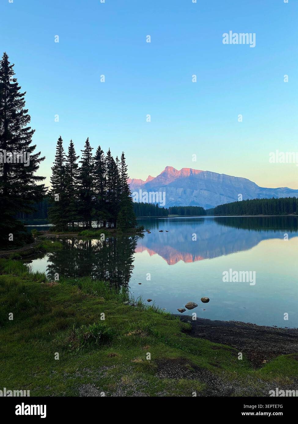 Canada, rivière de montagne, montagnes, forêt, fleurs sauvages, nature, nature sauvage, paysage, vue panoramique, rivière, eau courante, paysage alpin, montagne - Image de stock capturée avec un smartphone