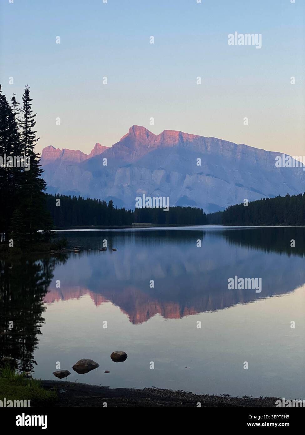 Canada, rivière de montagne, montagnes, forêt, fleurs sauvages, nature, nature sauvage, paysage, vue panoramique, rivière, eau courante, paysage alpin, montagne - Image de stock capturée avec un smartphone