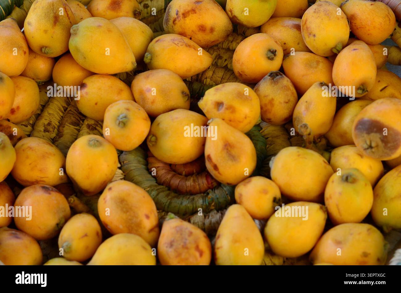 Loquats mûrs dans un panier tissé Banque D'Images
