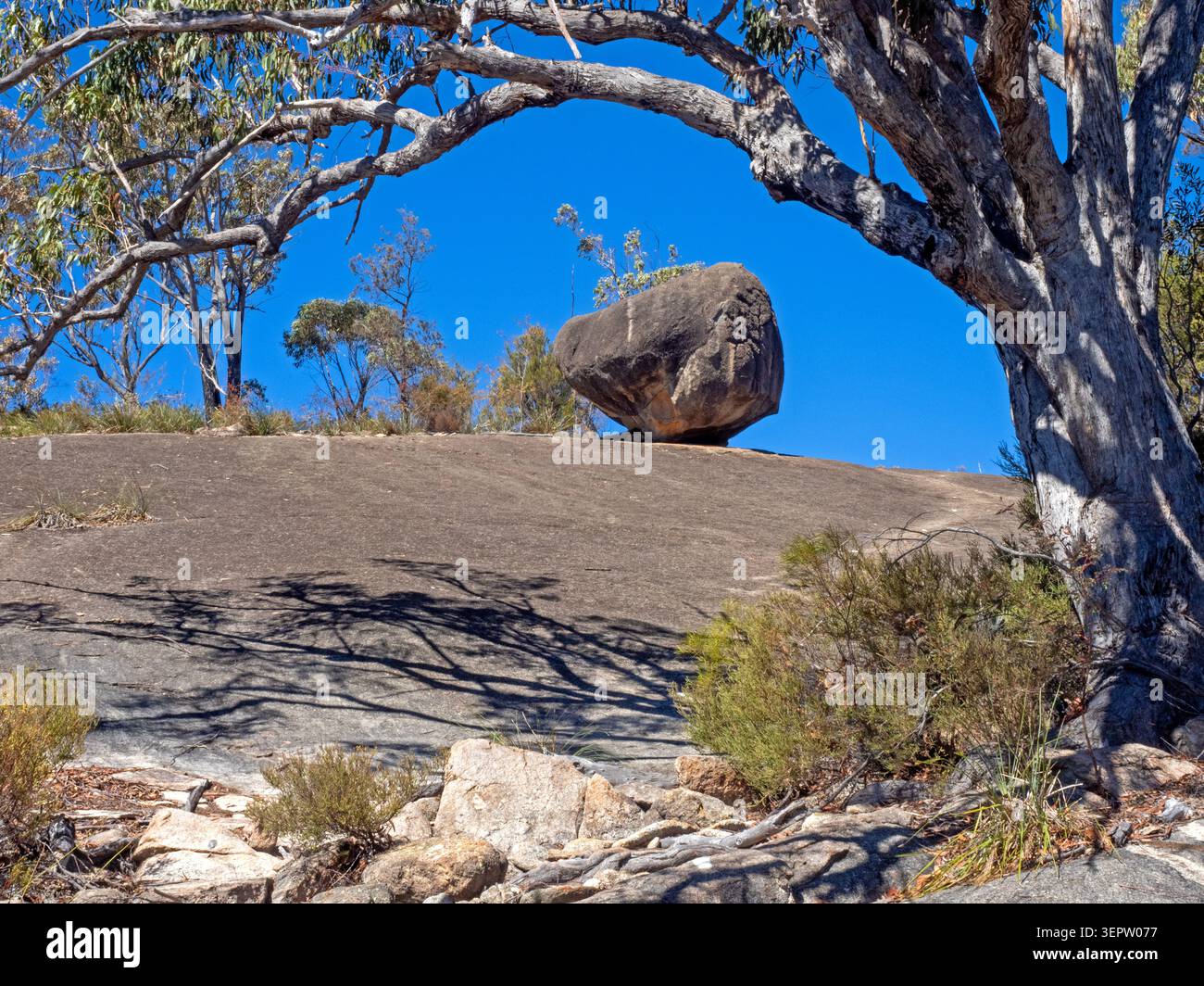 Dalle de granit et rocher dans le parc national de Girraween Banque D'Images
