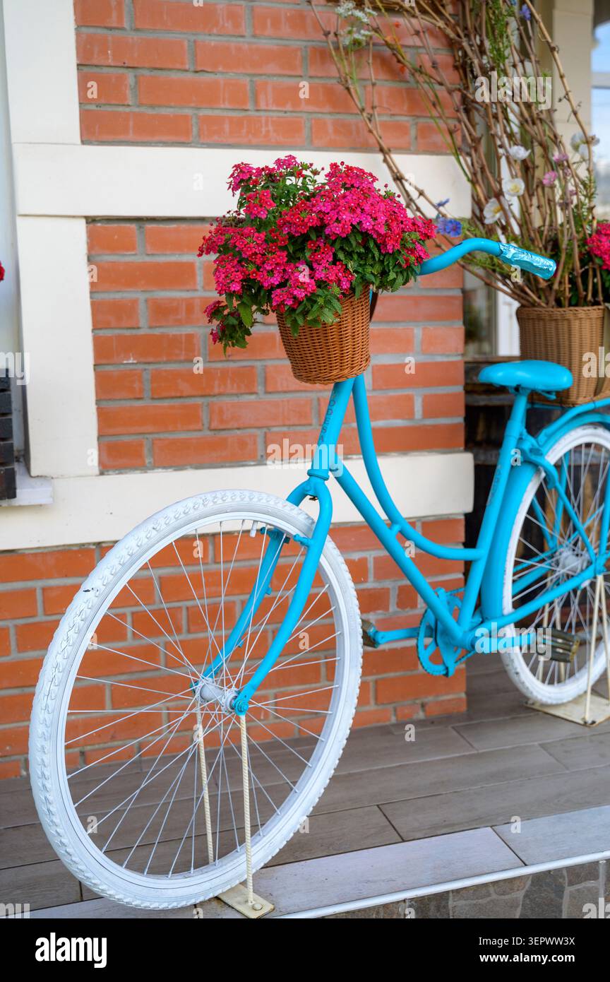 Vélo décoratif turquoise utilisé pour l'arrangement floral de pétunias roses sur un patio. Concept de style d'événement festif, ambiance chaleureuse à la maison et nature » Banque D'Images