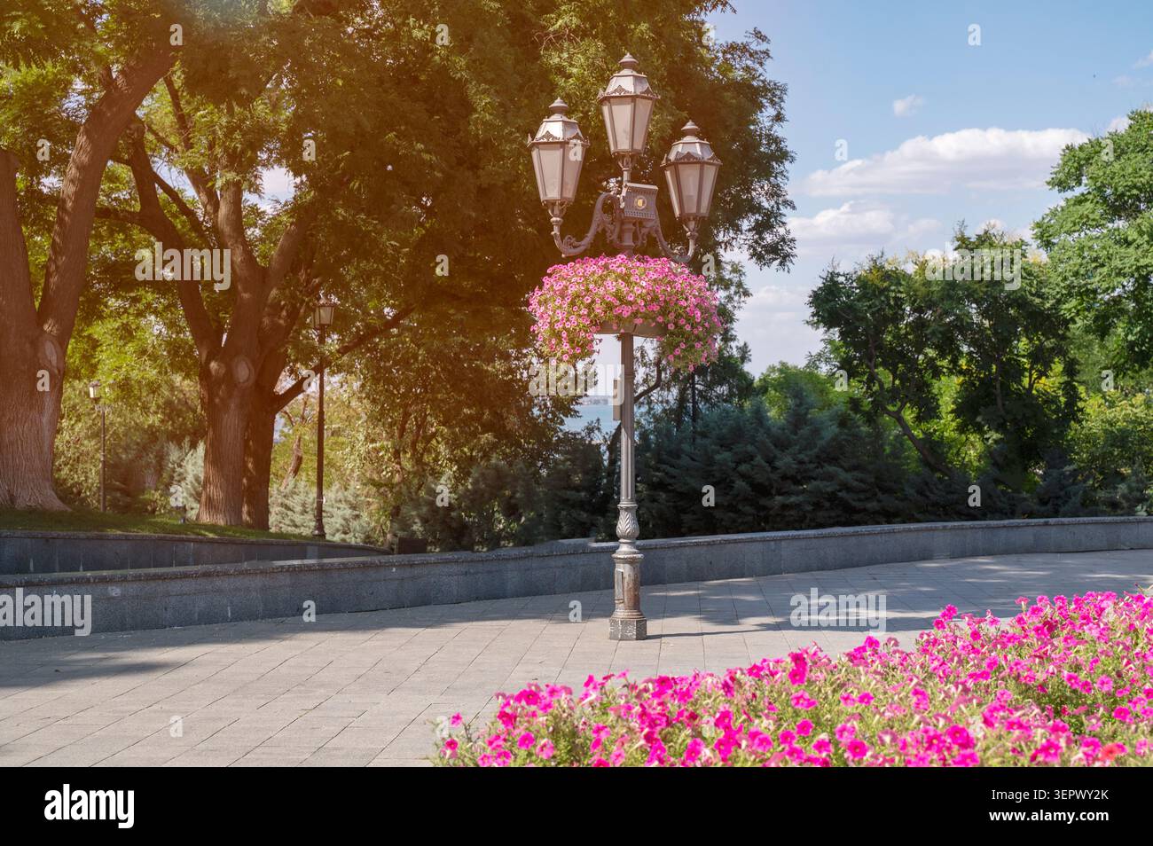 Arrangements floraux luxuriants dans un parc sous la lumière du soleil. Concept de diversité botanique et design floral. Symbole de l'énergie estivale et maintenan du parc Banque D'Images