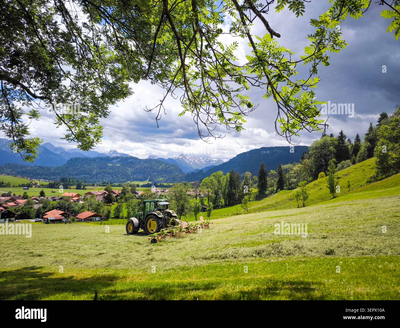 Tracteur vert fauchant prairie alpine avec les montagnes des Alpes Allgau en arrière-plan - paysage rural d'été, Bavière, Allemagne Banque D'Images