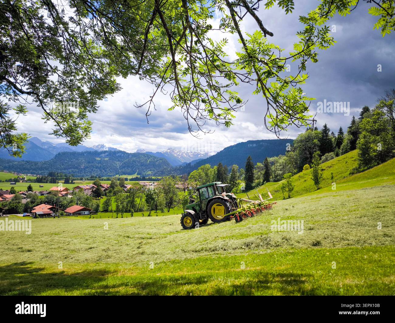 Tracteur vert fauchant prairie alpine avec les montagnes des Alpes Allgau en arrière-plan - paysage rural d'été, Bavière, Allemagne Banque D'Images