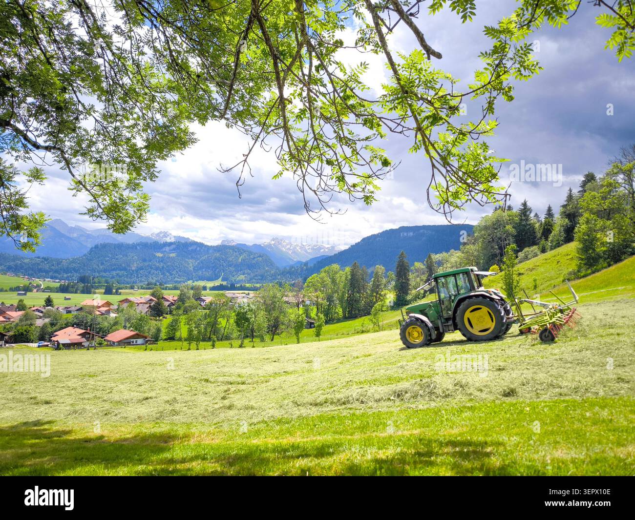 Tracteur vert fauchant prairie alpine avec les montagnes des Alpes Allgau en arrière-plan - paysage rural d'été, Bavière, Allemagne Banque D'Images
