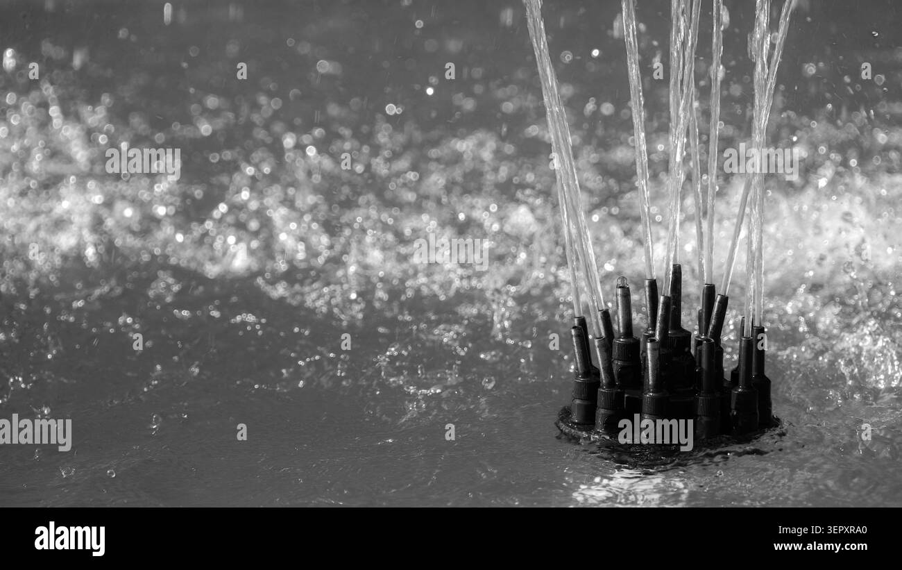 Les jets de la fontaine pulvérisent de l'eau propre au soleil en monochrome Banque D'Images