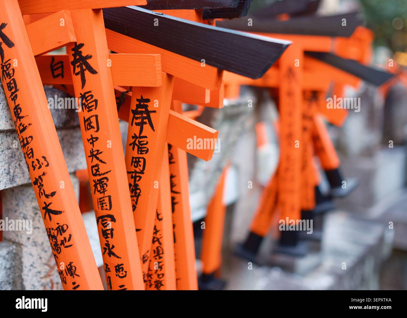 Des rangées de portes torii en bois orange vif se sont étroitement alignées pour créer un motif répétitif vibrant dans un sanctuaire shinto, Kyoto, Japon Banque D'Images