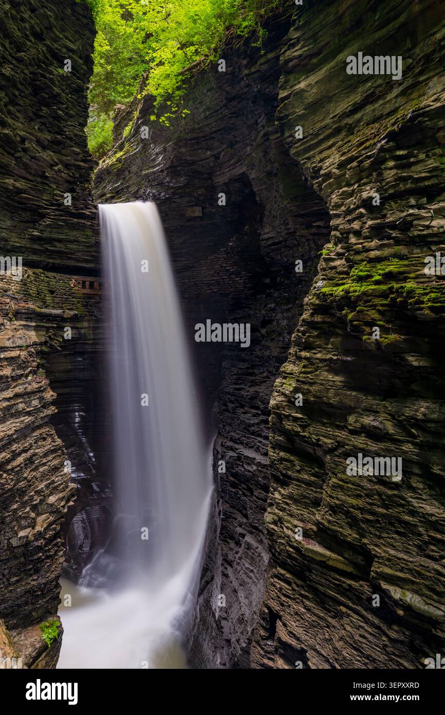 Caverne Cascade à Watkins Glen State Park, État de New York, États-Unis Banque D'Images