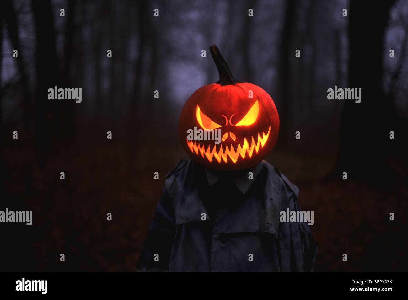 Luisant Jack o tête de lanterne illuminant l'obscurité d'un bois mystérieux. Portrait sur le thème d'Halloween avec une effrayante citrouille sculptée et une atmosphère de forêt sinistre Banque D'Images
