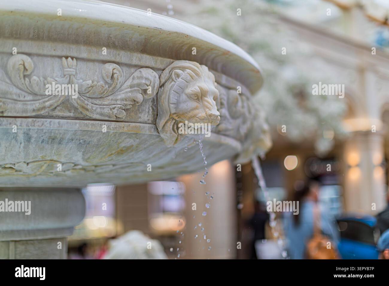 Bec de fontaine à tête de lion décoratif en pierre dégouttant l'eau présentant des détails de sculpture complexes, y compris la crinière, les yeux et la bouche ouverte contre un extérieur Banque D'Images
