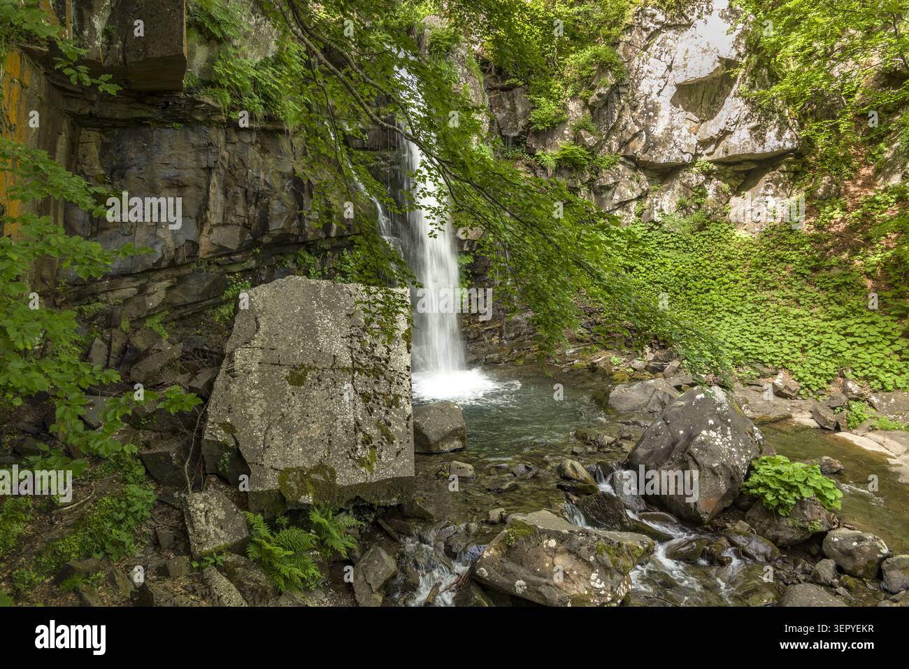 Les splendides cascades du ruisseau Dardagna dans les bois Banque D'Images