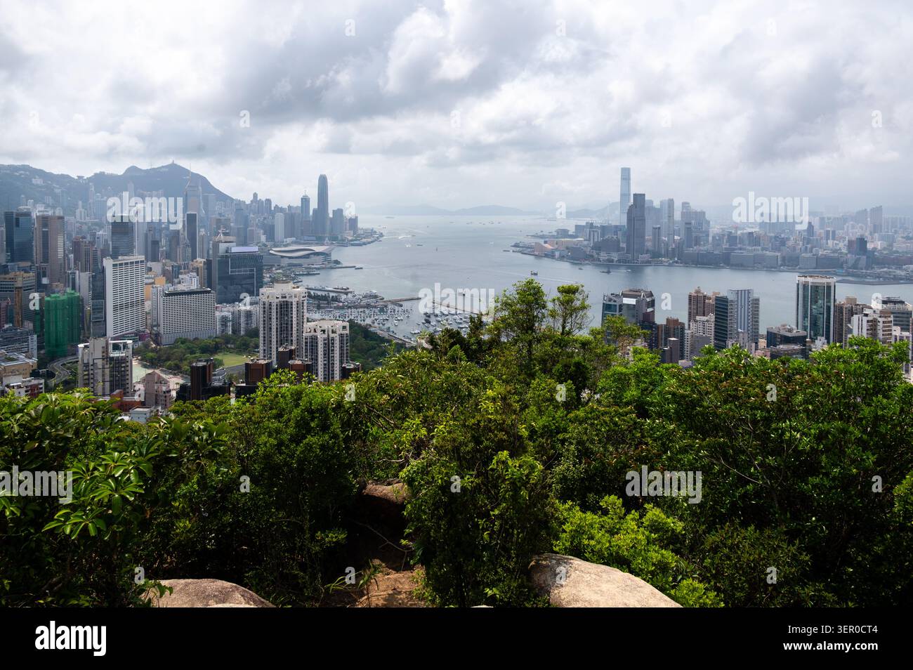 Vue panoramique en haut angle sur les gratte-ciel du port Victoria depuis Braemar Hill avec feuillage vert au premier plan à Hong Kong Banque D'Images