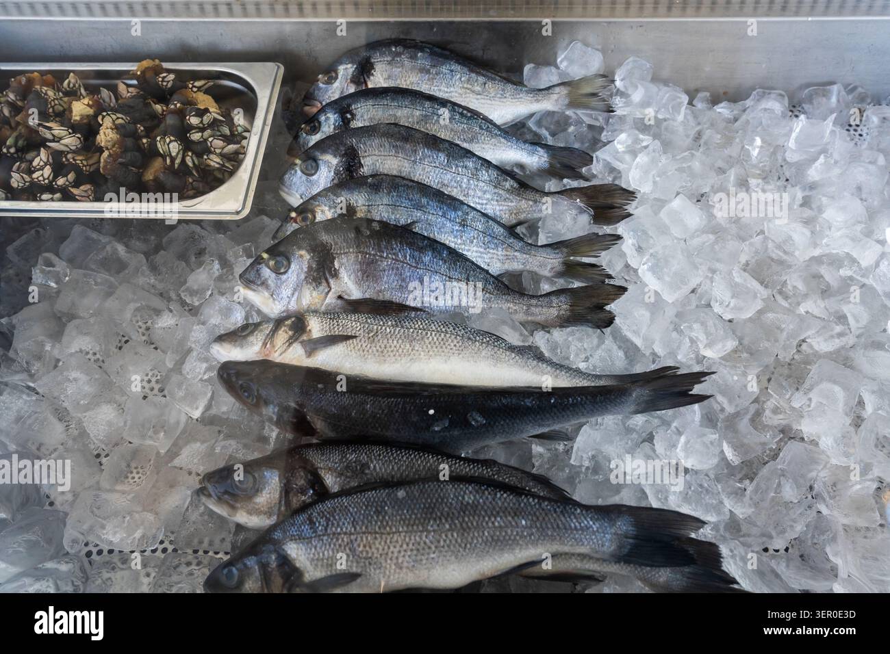 Un assortiment de poissons frais et de bernacles d'oie est disposé sur de la glace pilée dans un comptoir de marché de fruits de mer. Banque D'Images