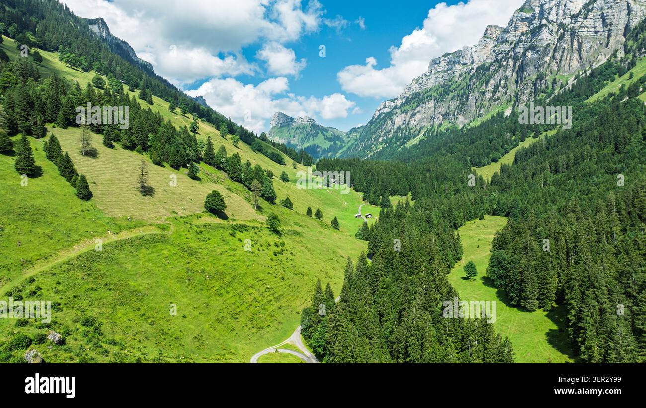 Vue aérienne de la vallée alpine verdoyante en Suisse avec des forêts de pins et des montagnes rocheuses Banque D'Images
