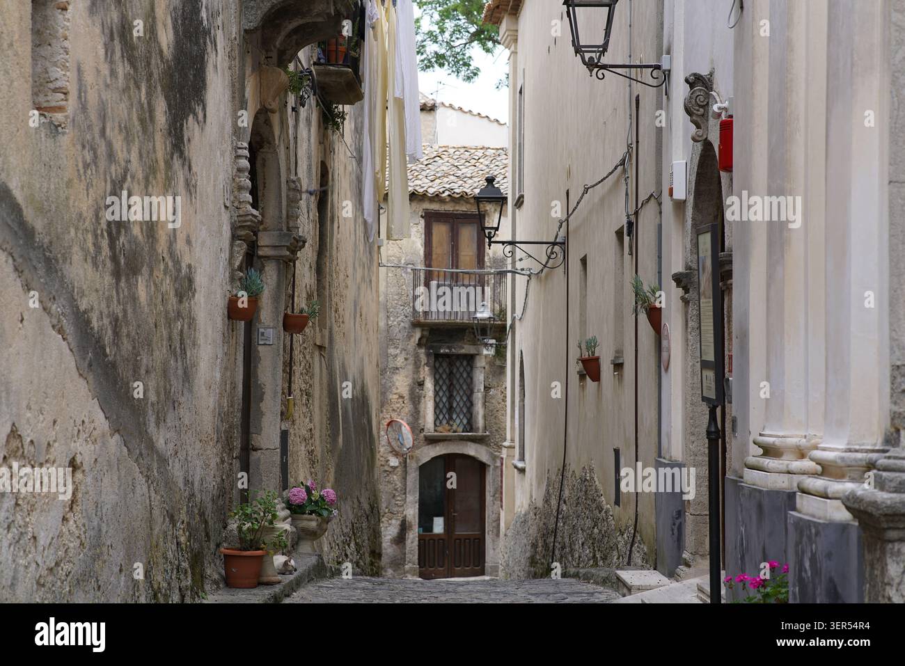 Ruelle étroite avec des maisons traditionnelles en pierre, des balcons et des fleurs en pot dans le centre historique de Gerace, parc national d'Aspromonte, Calabre Sud Banque D'Images