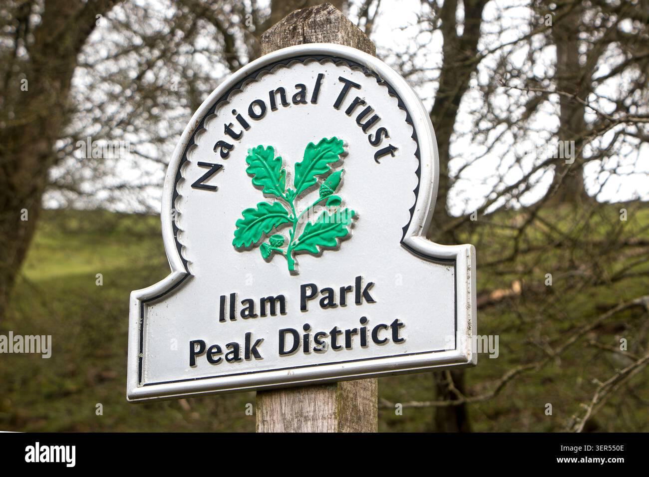Panneau National Trust à Ilam Park dans le parc national Peak District avec le logo et le nom de l'organisme de bienfaisance Banque D'Images