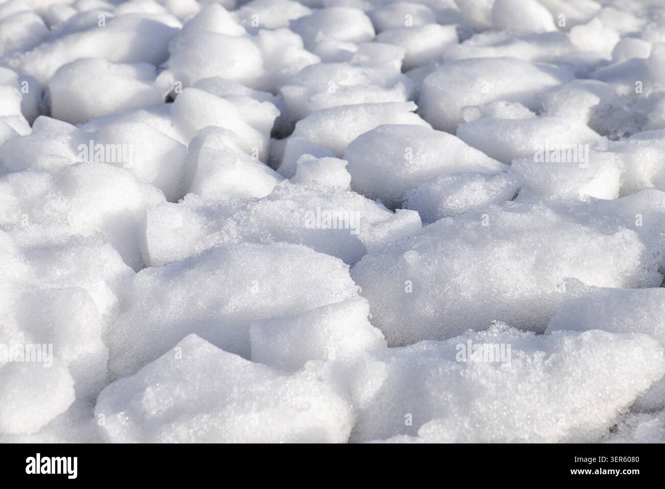Des amas de neige et de glace frasil à la surface de l'eau de la rivière glaciale au début de la saison hivernale Banque D'Images