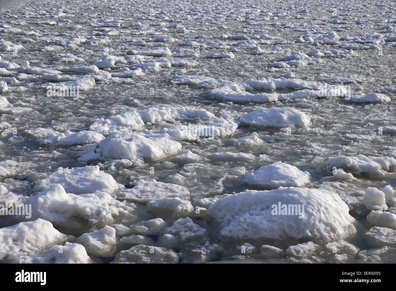 Des amas de neige et de glace frasil à la surface de l'eau de la rivière glaciale au début de la saison hivernale Banque D'Images