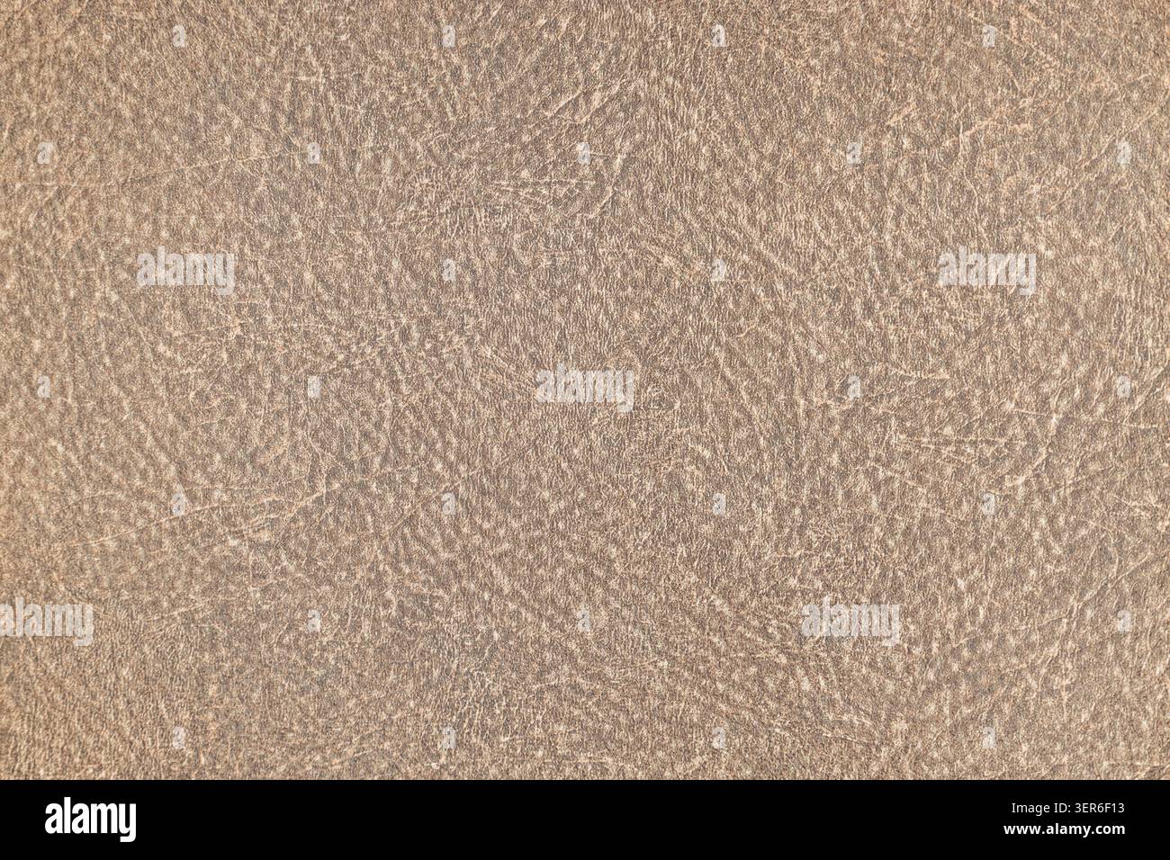 Surface en cuir texturé marron clair affichant de fins détails en grain naturel Banque D'Images