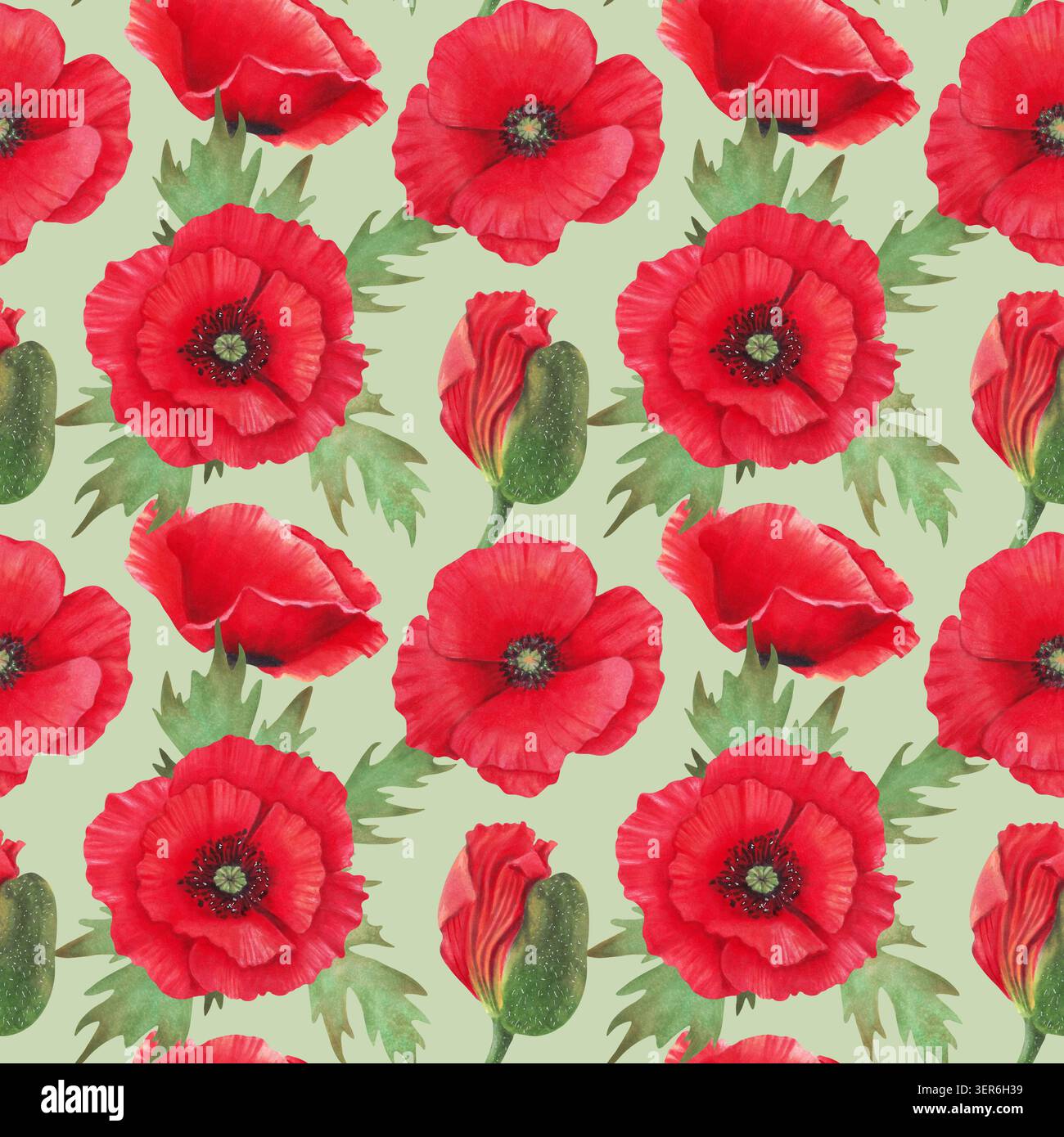 Motif sans couture de fleur de coquelicot rouge et de feuilles vertes. Illustration botanique à l'aquarelle. Fête du pavot sauvage. Art isolé dessiné à la main pour le fond Banque D'Images
