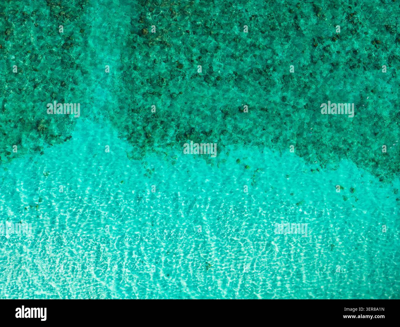 Plat de récif aérien Maldives avec turquoise peu profonde à la mer émeraude Banque D'Images