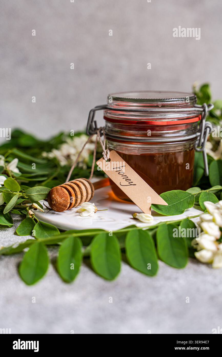 Pot en verre de miel d'acacia avec un plongeur en bois et étiquette faite à la main, stylisé avec des feuilles vertes fraîches et délicate fleur d'acacia blanche sur un backgr de pierre légère Banque D'Images
