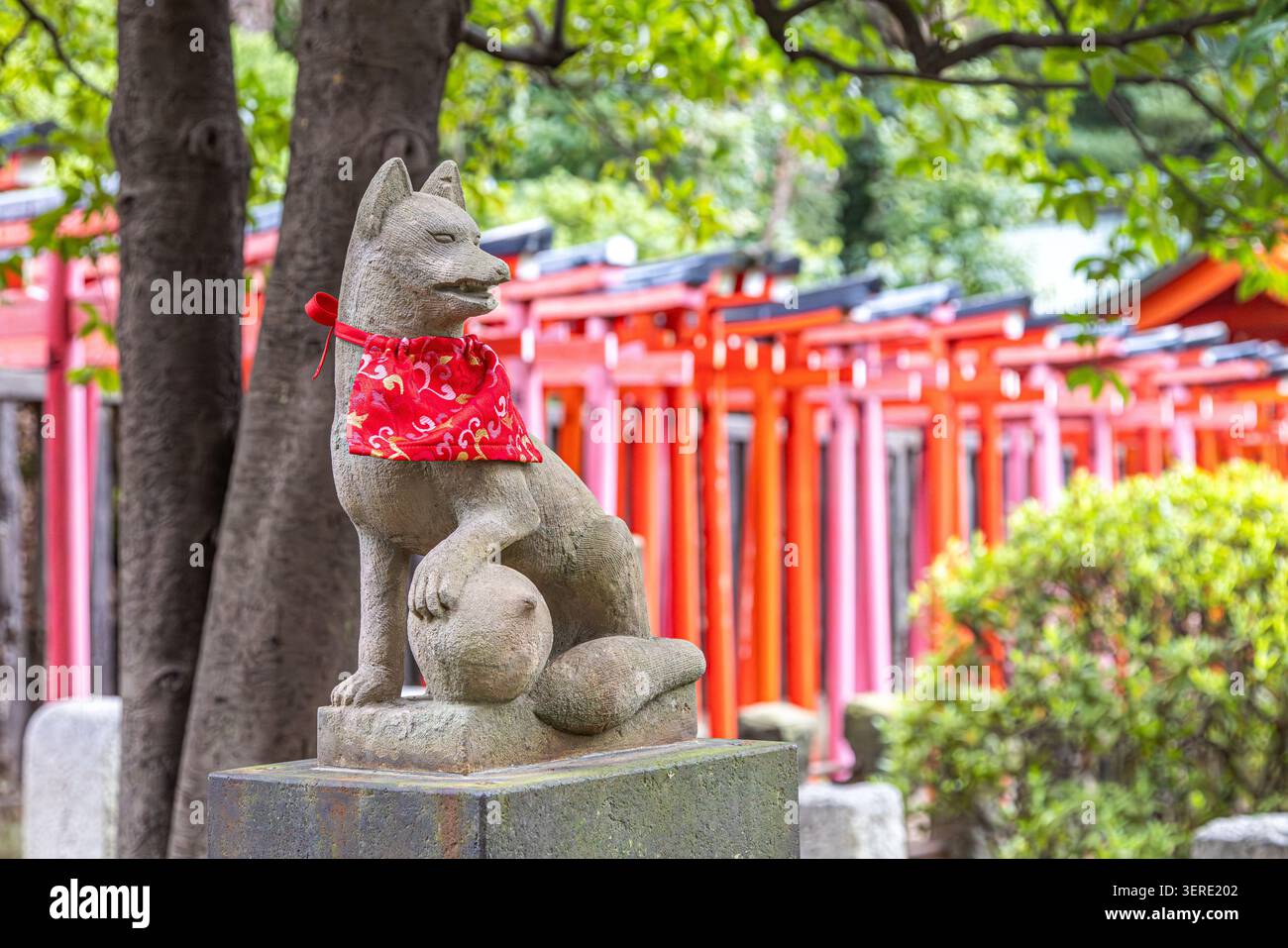 Gardien kitsune en pierre avec un bavoir rouge et un tunnel torii vermillon derrière lui au sanctuaire Otome Inari à Tokyo, Japon. Banque D'Images