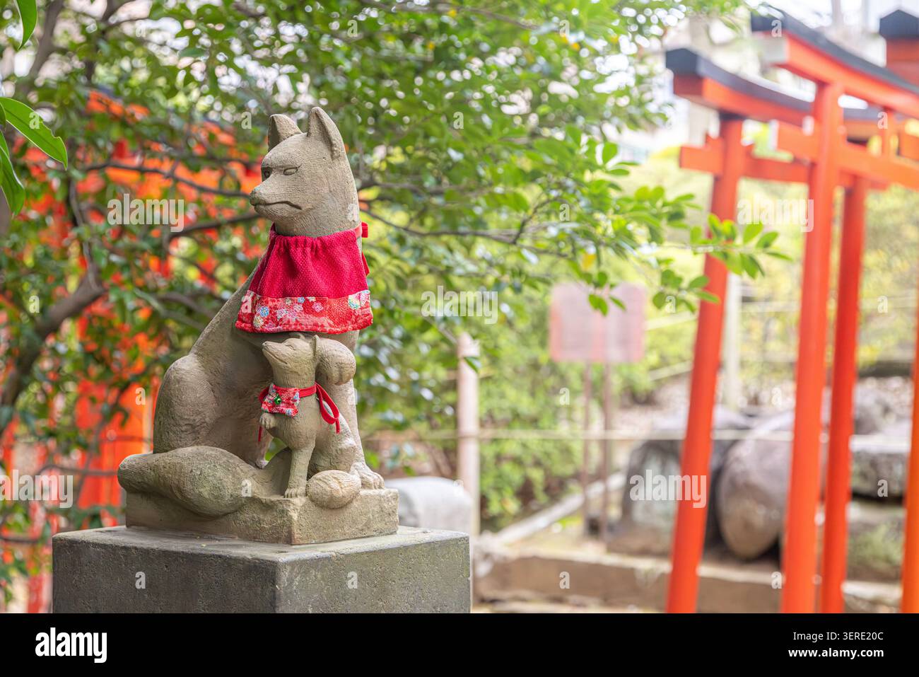 Gardien renard Inari en pierre portant un bavoir rouge à côté des portes torii vermillon au sanctuaire Otome Inari, Tokyo, Japon. Banque D'Images