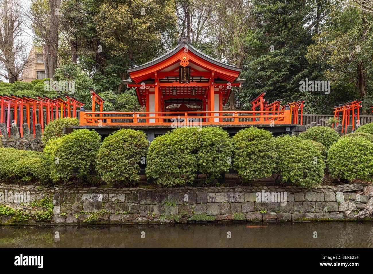 Pavillon Vermilion Otome Inari au-dessus de l’étang et des buissons d’azalées au sein du sanctuaire Nezu, Tokyo, Japon. Banque D'Images