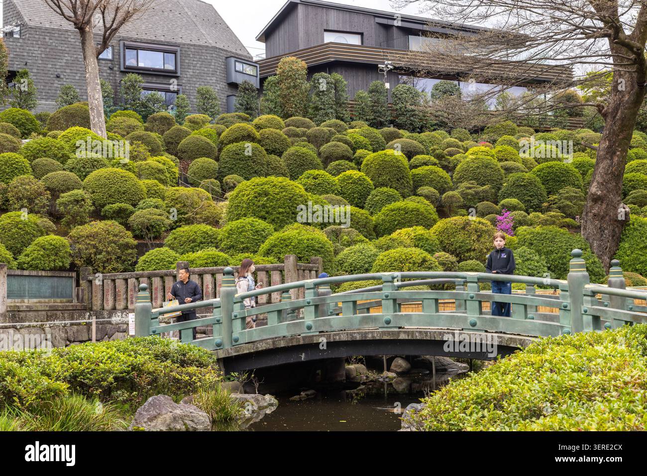 Les visiteurs traversent un pont voûté vert à côté du jardin d'azalées du sanctuaire Nezu à Bunkyo, Tokyo, Japon. Banque D'Images
