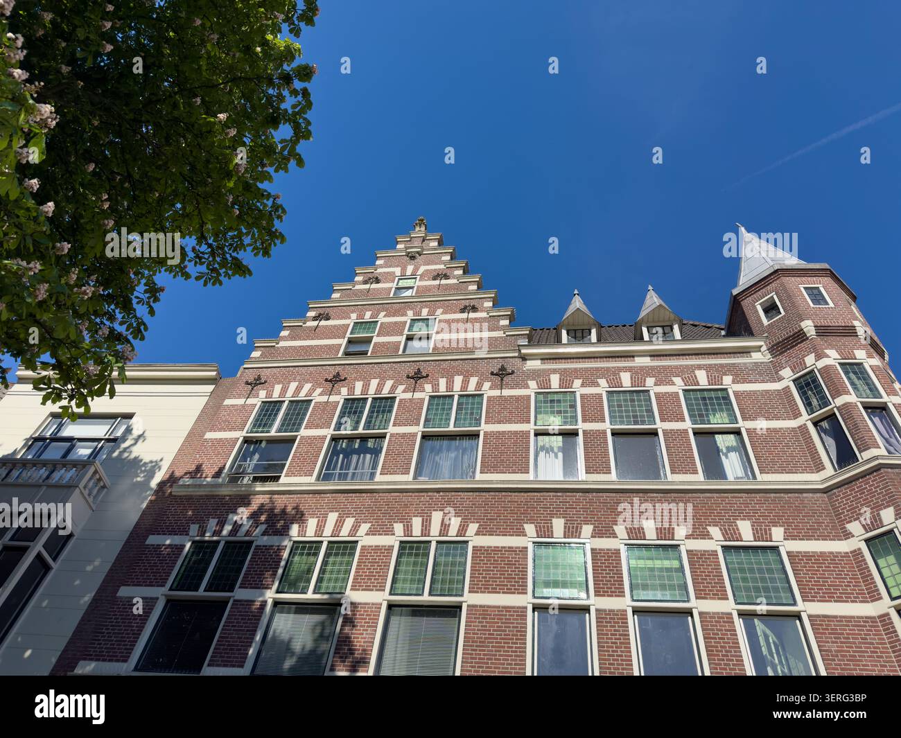Vue en bas angle d'une façade à pignon en briques rouges à Delfshaven, Rotterdam, pays-Bas, avec des branches de printemps feuillues, ciel bleu, journée ensoleillée. Banque D'Images