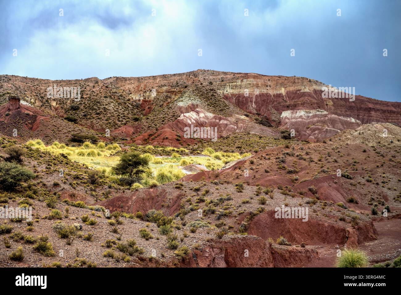 Andes boliviennes Banque D'Images