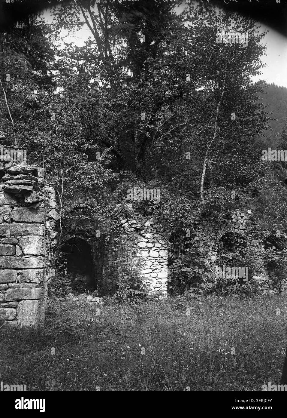 En 1890, les ruines de la Chartreuse de St Hugon à Arvillard, Savoie, restent visibles, Duchemin, Émile enregistrant la structure détériorée et le milieu environnant dans une photographie fixe. Banque D'Images