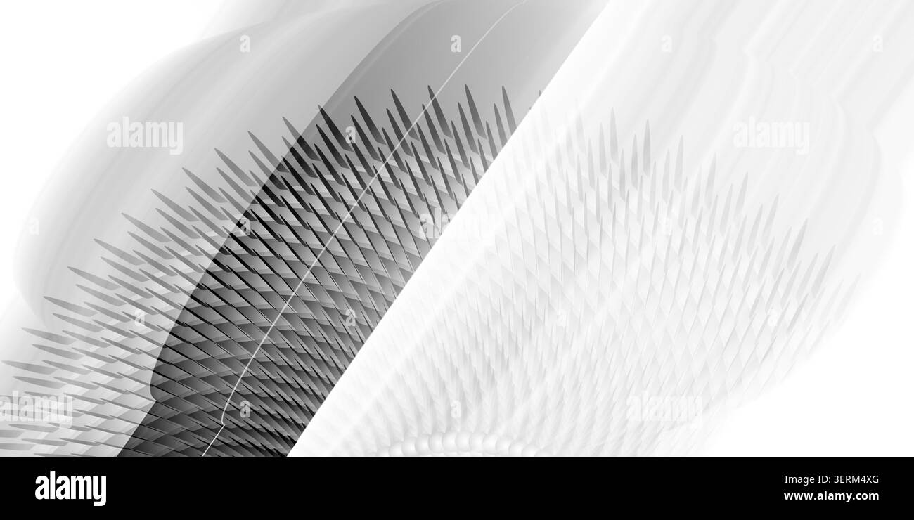 Composition abstraite en noir et blanc à contraste élevé présentant un arrangement radial dense d'éléments pointus en forme de lame rayonnant à partir d'un centre Banque D'Images